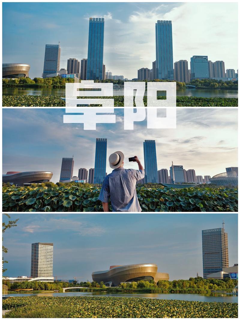阜阳城市生活网：城市脉动中的信息导航站